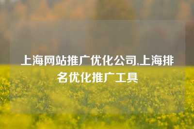 上海网站推广优化公司,上海排名优化推广工具