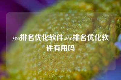 seo排名优化软件,seo排名优化软件有用吗