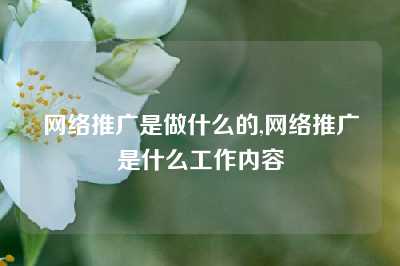 网络推广是做什么的,网络推广是什么工作内容