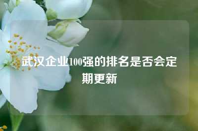 武汉企业100强的排名是否会定期更新