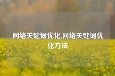 网络关键词优化,网络关键词优化方法