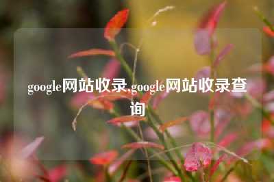 google网站收录,google网站收录查询