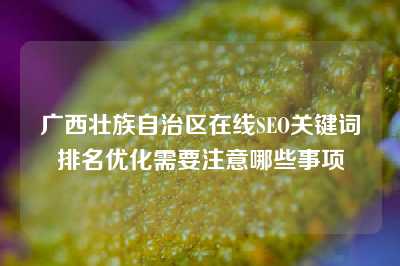 广西壮族自治区在线SEO关键词排名优化需要注意哪些事项