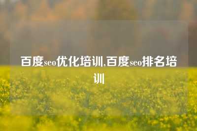 百度seo优化培训,百度seo排名培训