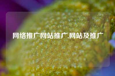 网络推广网站推广,网站及推广