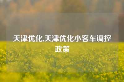 天津优化,天津优化小客车调控政策