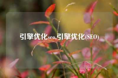 引擎优化seo,引擎优化(SEO)