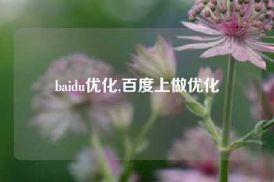 baidu优化,百度上做优化