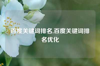 百度关键词排名,百度关键词排名优化