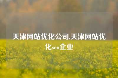 天津网站优化公司,天津网站优化seo企业