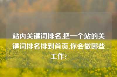 站内关键词排名,把一个站的关键词排名排到首页,你会做哪些工作?