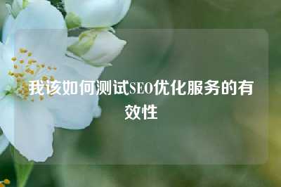 我该如何测试SEO优化服务的有效性