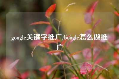 google关键字推广,Google怎么做推广