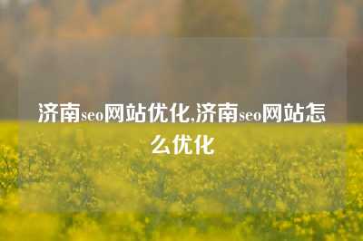 济南seo网站优化,济南seo网站怎么优化