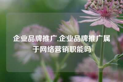 企业品牌推广,企业品牌推广属于网络营销职能吗