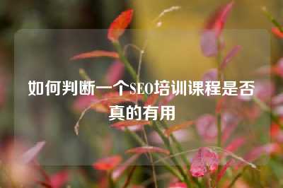 如何判断一个SEO培训课程是否真的有用