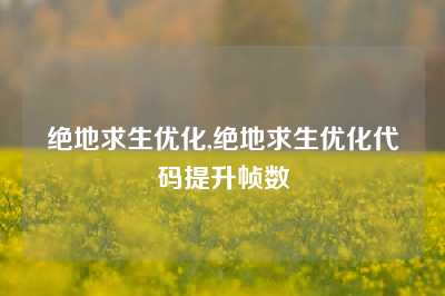 绝地求生优化,绝地求生优化代码提升帧数