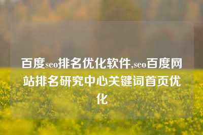 百度seo排名优化软件,seo百度网站排名研究中心关键词首页优化