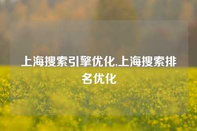 上海搜索引擎优化,上海搜索排名优化