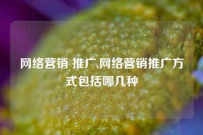 网络营销 推广,网络营销推广方式包括哪几种