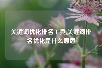 关键词优化排名工具,关键词排名优化是什么意思