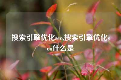 搜索引擎优化seo,搜索引擎优化seo什么是