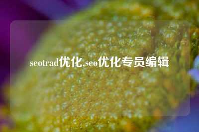 seotrad优化,seo优化专员编辑