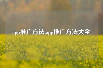 app推广方法,app推广方法大全