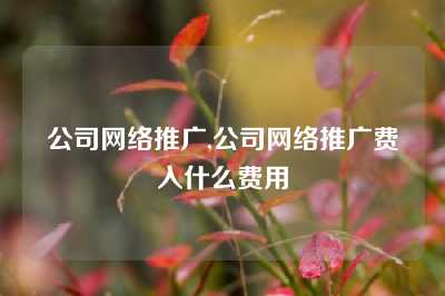 公司网络推广,公司网络推广费入什么费用