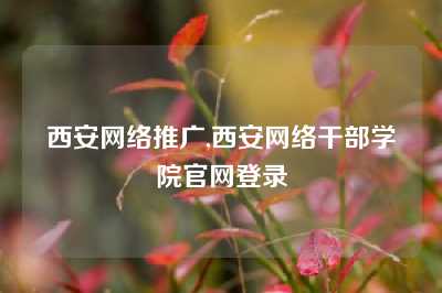 西安网络推广,西安网络干部学院官网登录