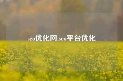 seo优化网,seo平台优化