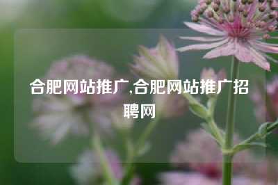 合肥网站推广,合肥网站推广招聘网