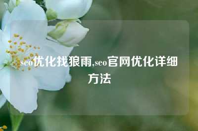 seo优化找狼雨,seo官网优化详细方法