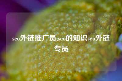 seo外链推广员,seo的知识seo外链专员