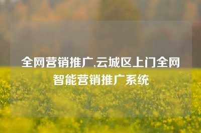 全网营销推广,云城区上门全网智能营销推广系统