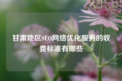 甘肃地区SEO网络优化服务的收费标准有哪些