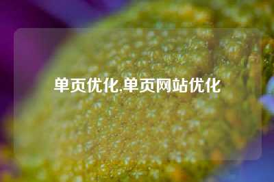 单页优化,单页网站优化