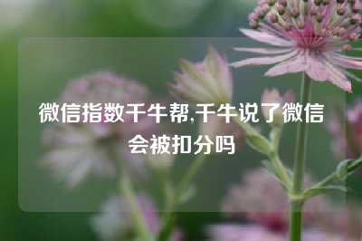 微信指数千牛帮,千牛说了微信会被扣分吗