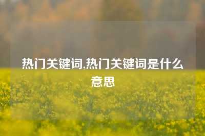 热门关键词,热门关键词是什么意思