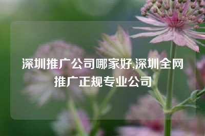 深圳推广公司哪家好,深圳全网推广正规专业公司