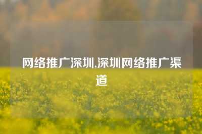 网络推广深圳,深圳网络推广渠道