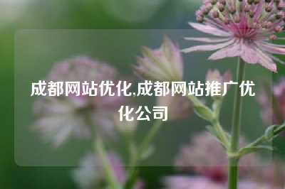 成都网站优化,成都网站推广优化公司