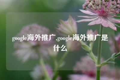 google海外推广,google海外推广是什么