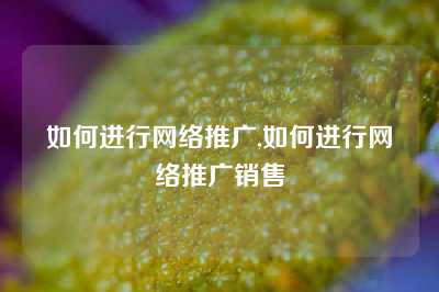 如何进行网络推广,如何进行网络推广销售