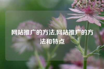 网站推广的方法,网站推广的方法和特点