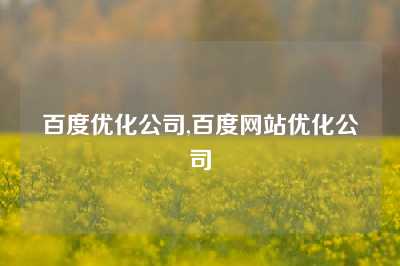 百度优化公司,百度网站优化公司