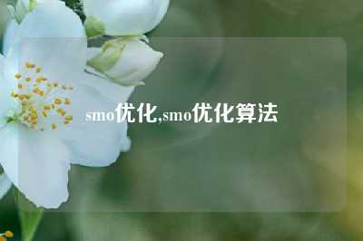 smo优化,smo优化算法