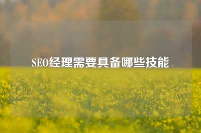 SEO经理需要具备哪些技能