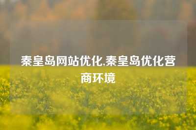 秦皇岛网站优化,秦皇岛优化营商环境