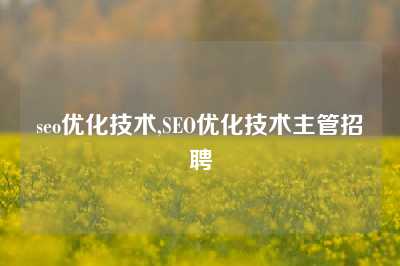 seo优化技术,SEO优化技术主管招聘